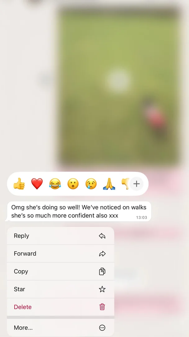 Customer testimonial