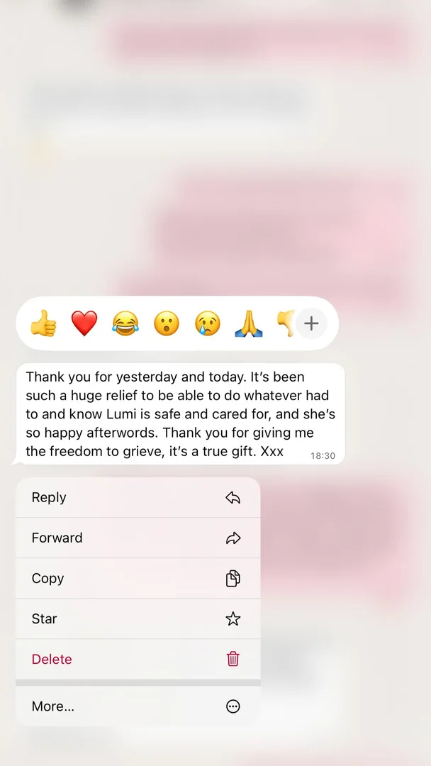 Customer testimonial